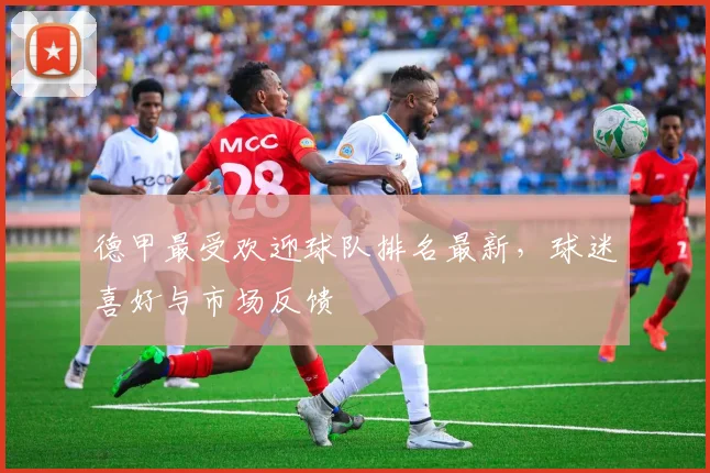 德甲最受欢迎球队排名最新，球迷喜好与市场反馈