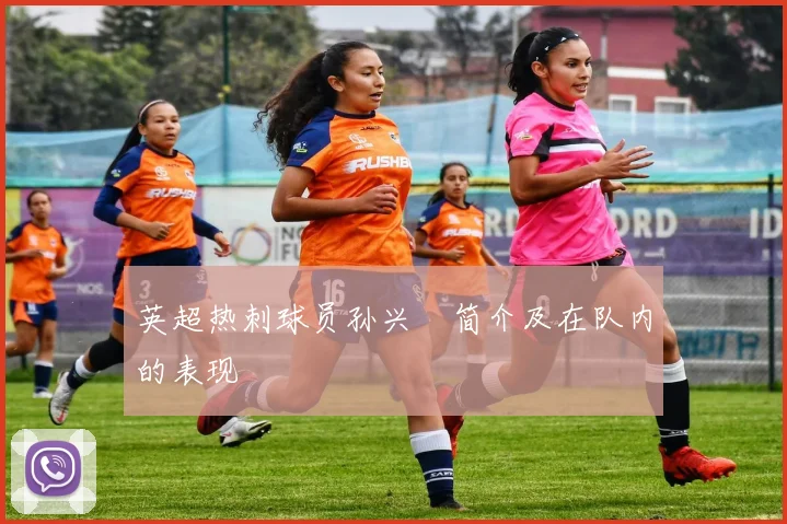 英超热刺球员孙兴慜简介及在队内的表现
