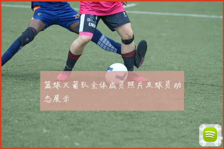 篮球火箭队全体成员照片及球员动态展示
