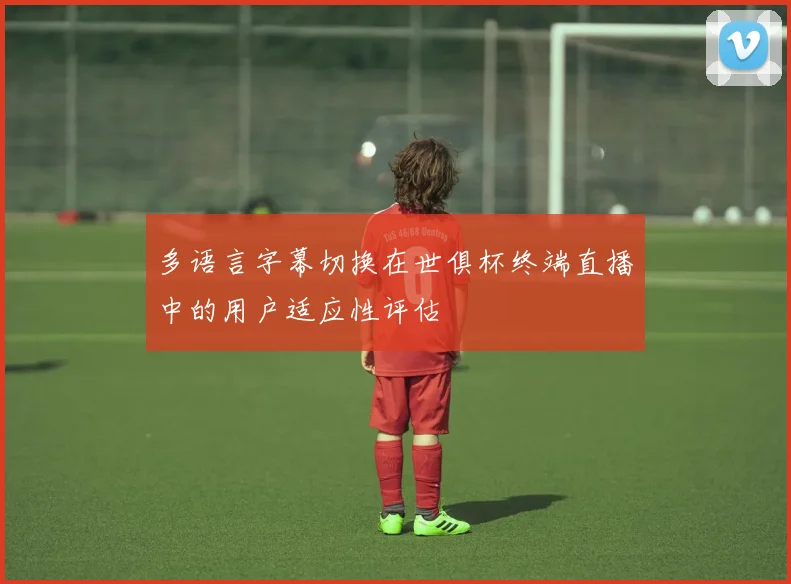 多语言字幕切换在世俱杯终端直播中的用户适应性评估