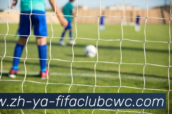 世界杯平台APP 封面图